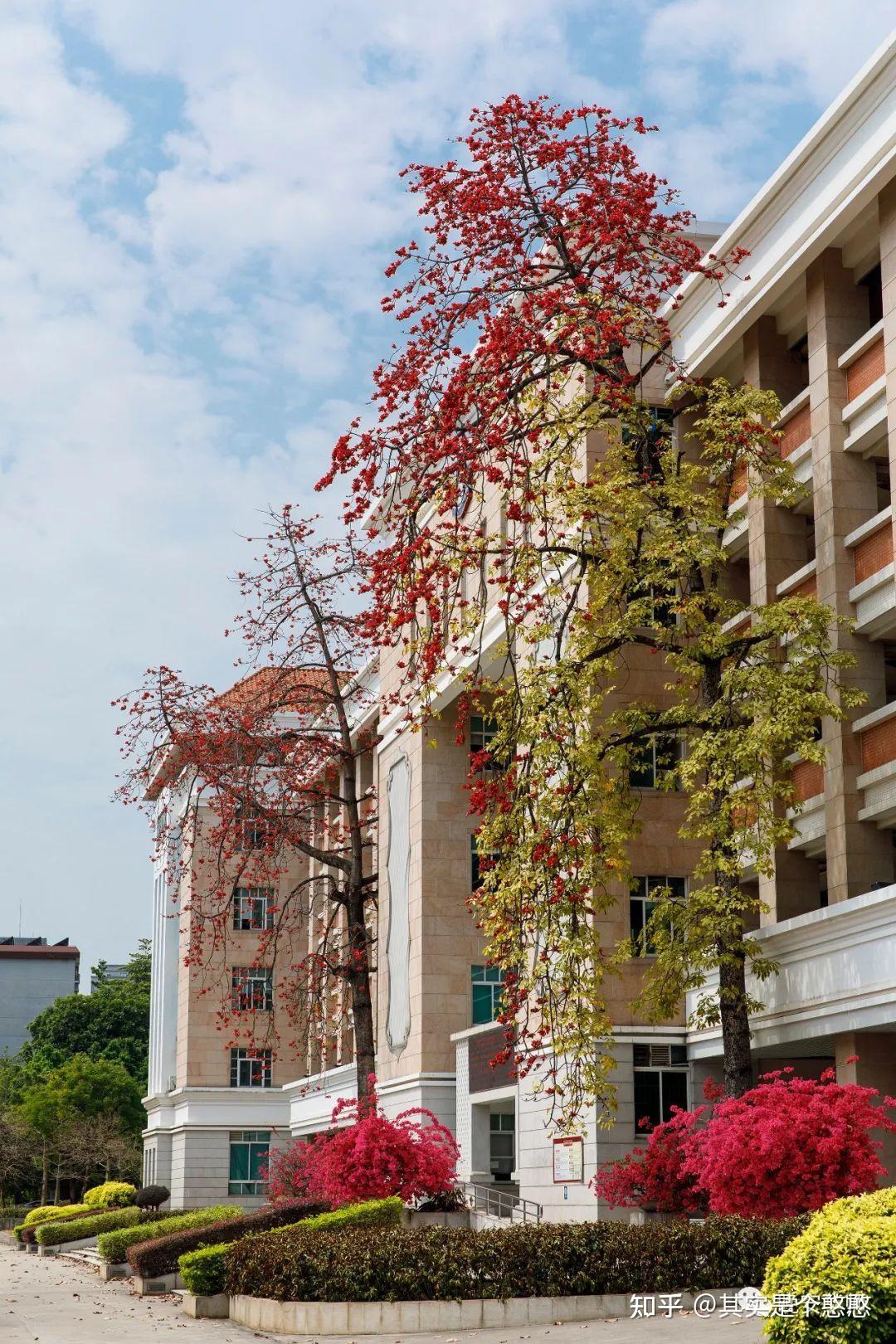 华南师范大学石牌校区现在宿舍环境怎么样? - 知乎