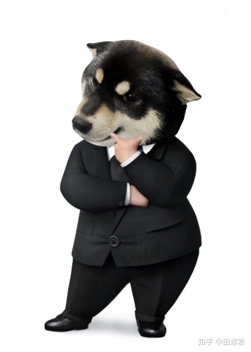 柴犬价格是多少?养一只需要花多少钱?