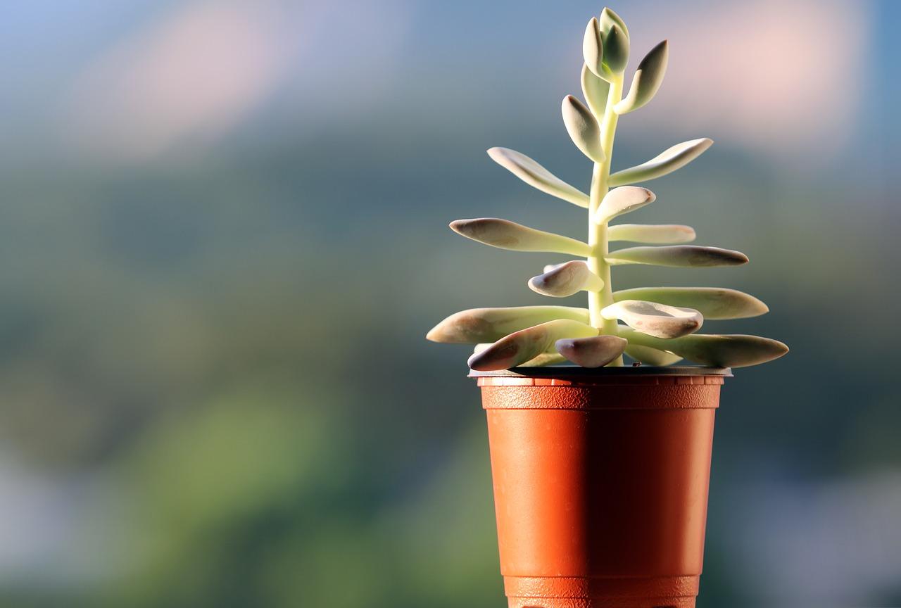 家居风水布局指南