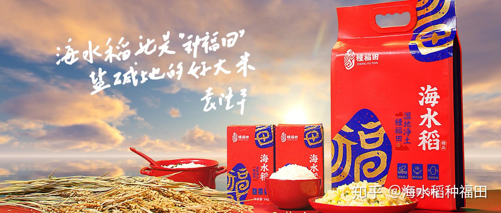 海水稻是否应用了杂交育种