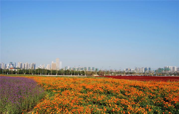 日照万平口及周边景点吃住行攻略,首次打卡游客朋友千万别错过 - 知乎