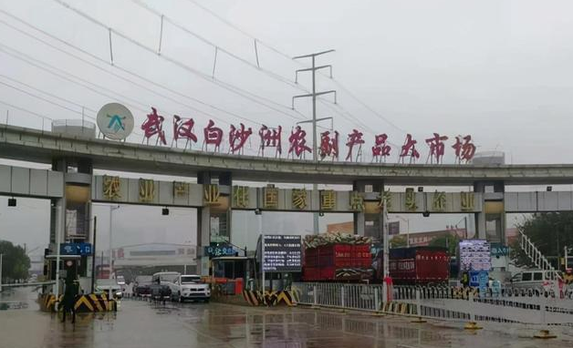 武汉白沙洲用玉米抵运费终于结束,回过头看,到底是谁的责任?