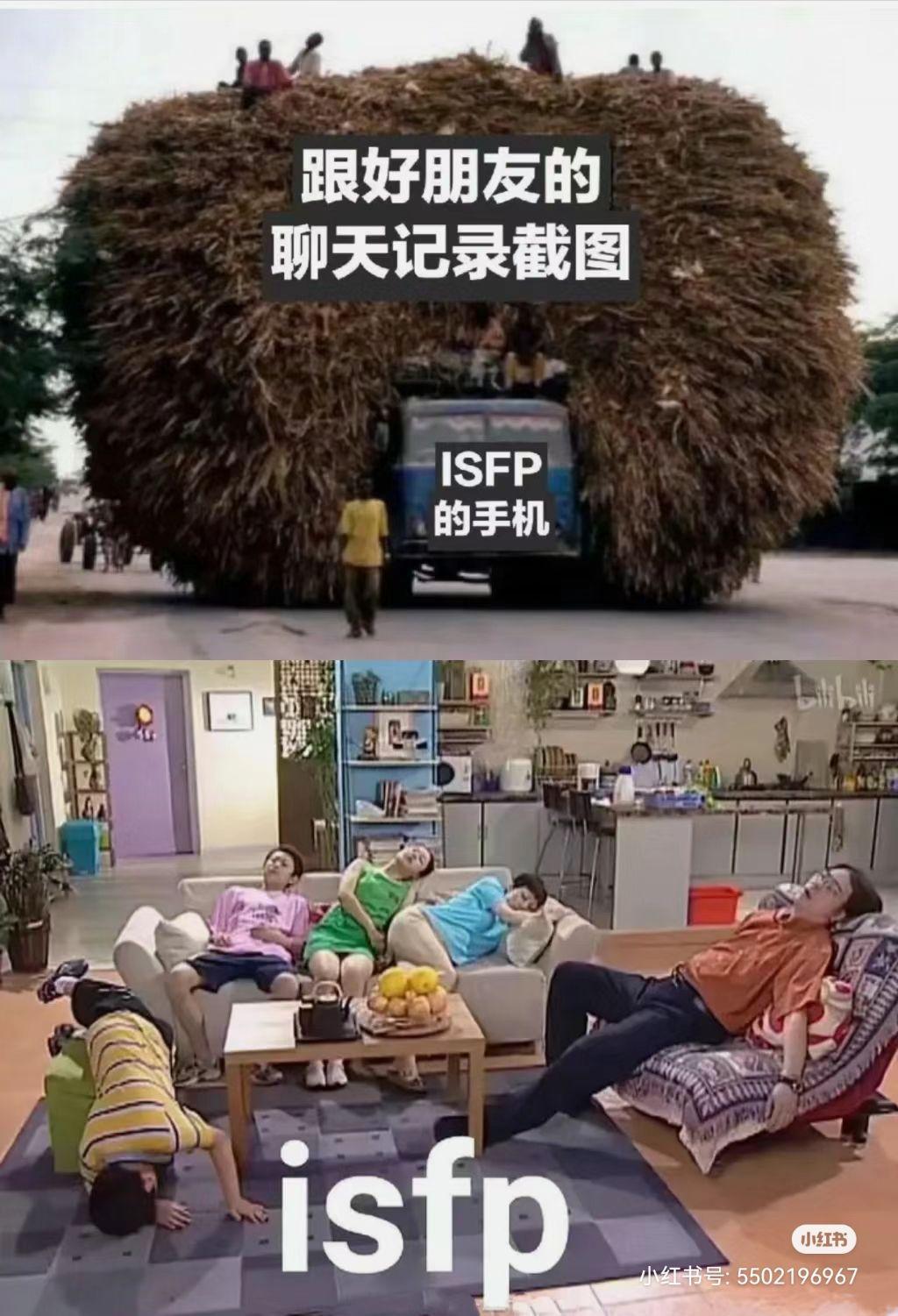 ISFP梗图一览 - 知乎