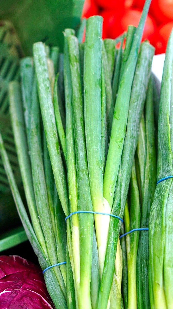 2. 碗修复方法大全