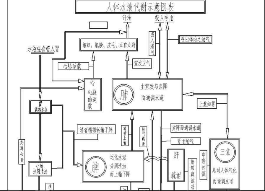 饮食物和津液在体内的代谢过程从进入人体经过什么脏腑功能然后变成了