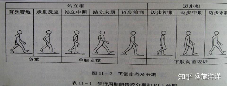 如何分析步态问题? - 知乎