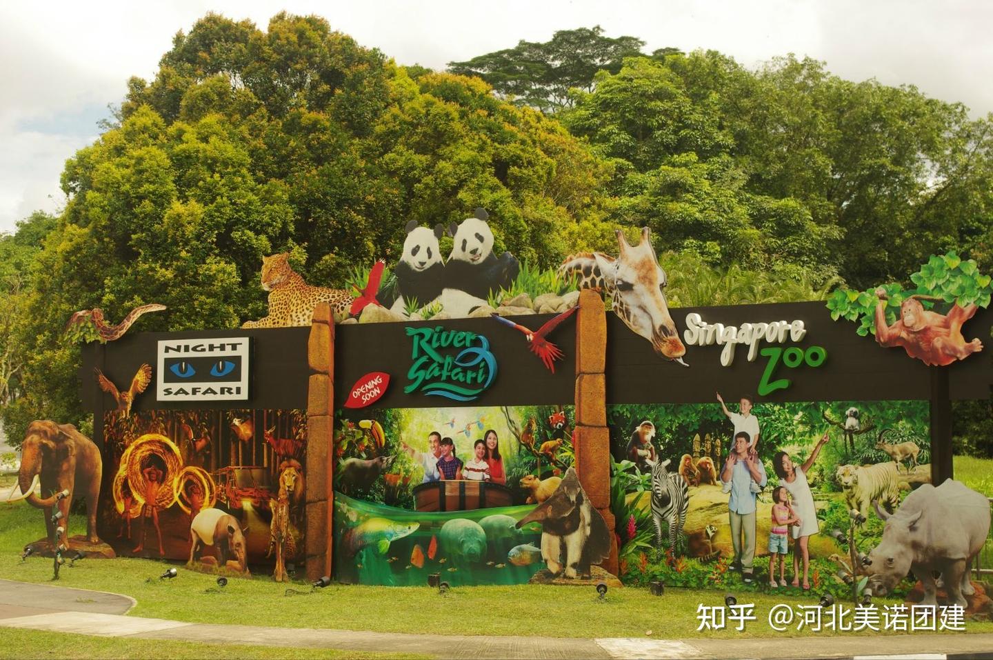 【美诺项目分享】动物园里有什么 | 拓展团建趣味办公室聚会破冰热身小游戏 - 知乎