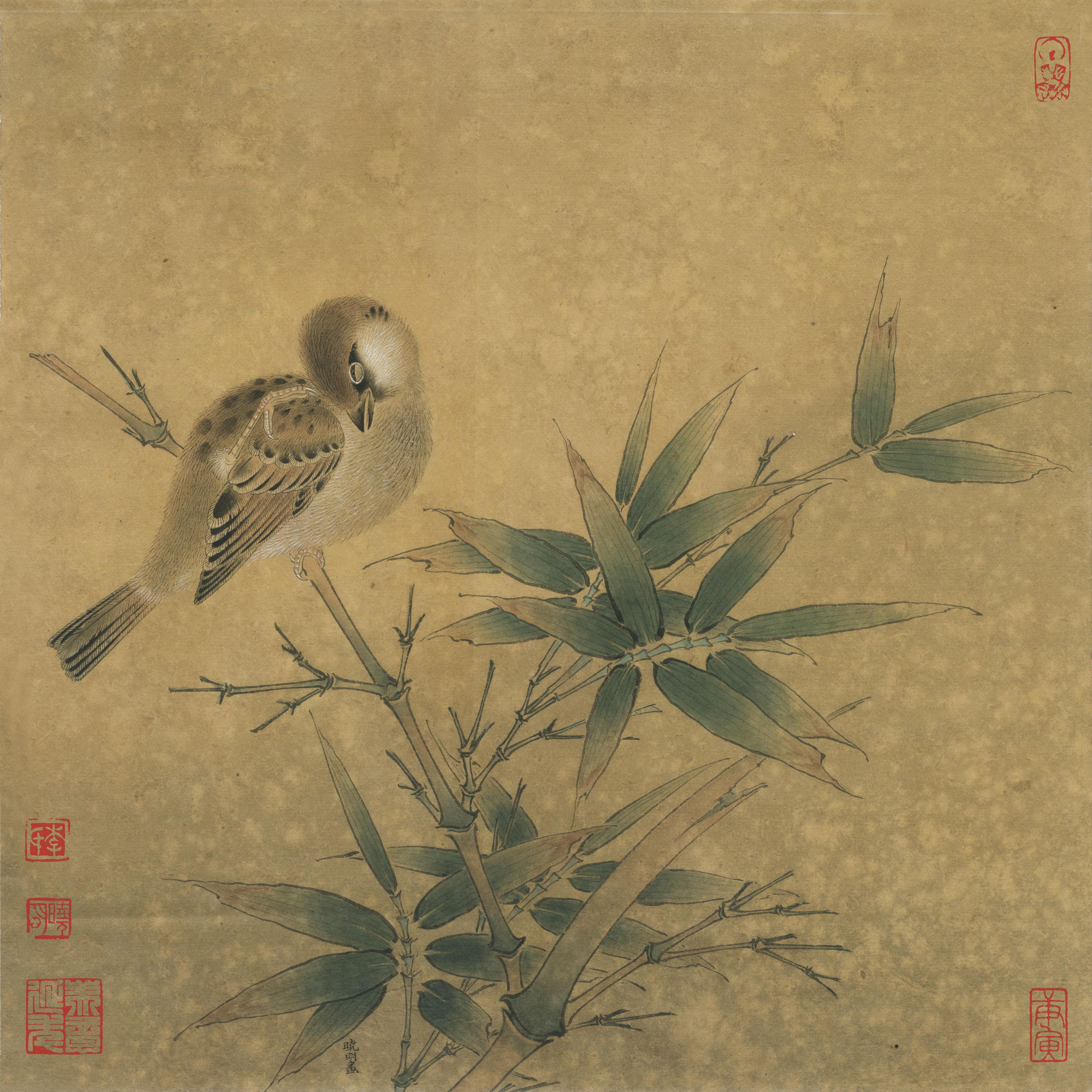 宋小品《竹雀图》工笔,绘画步骤图
