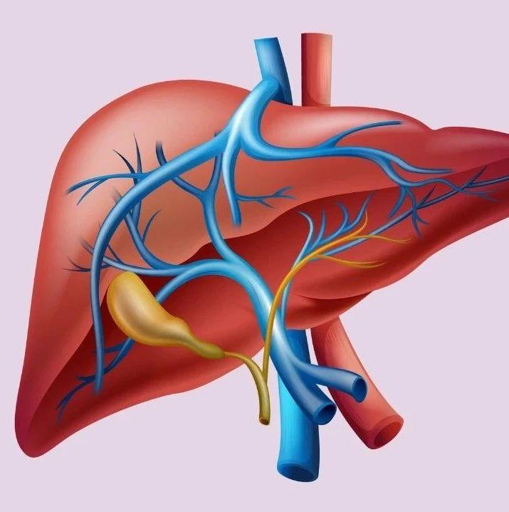 J hepatol 