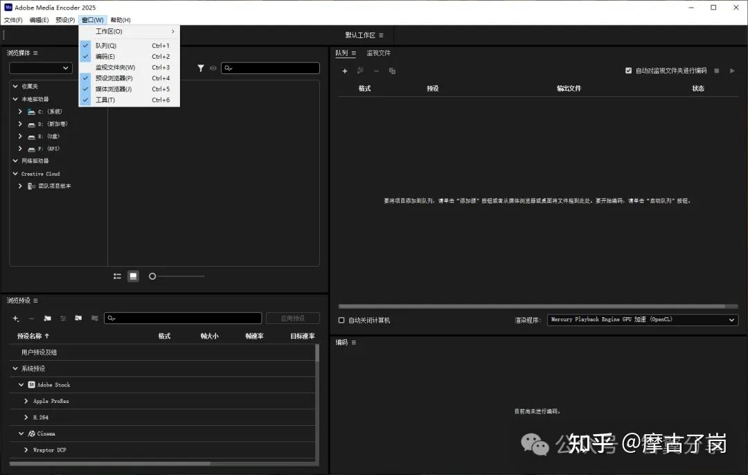 如何下载flv，如何下载flv格式的电影