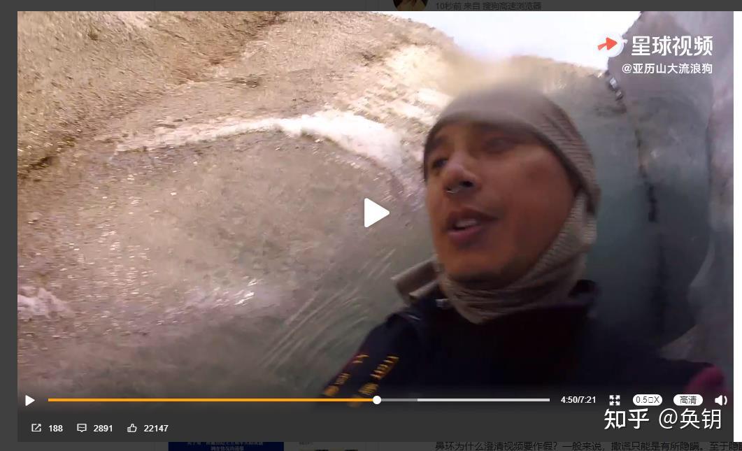 你觉得亚历山大流浪狗/鼻环有没有说谎? - 知乎