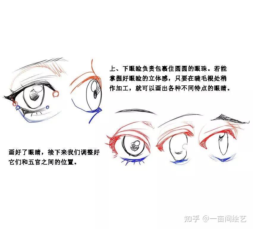 零基础动漫人物手绘教程,赶紧收藏! - 知乎