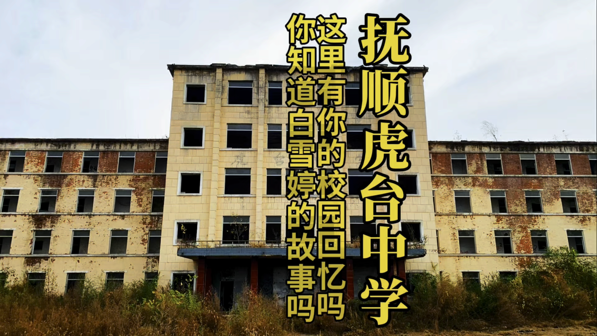 抚顺虎台中学白雪婷的故事大家听说过吗