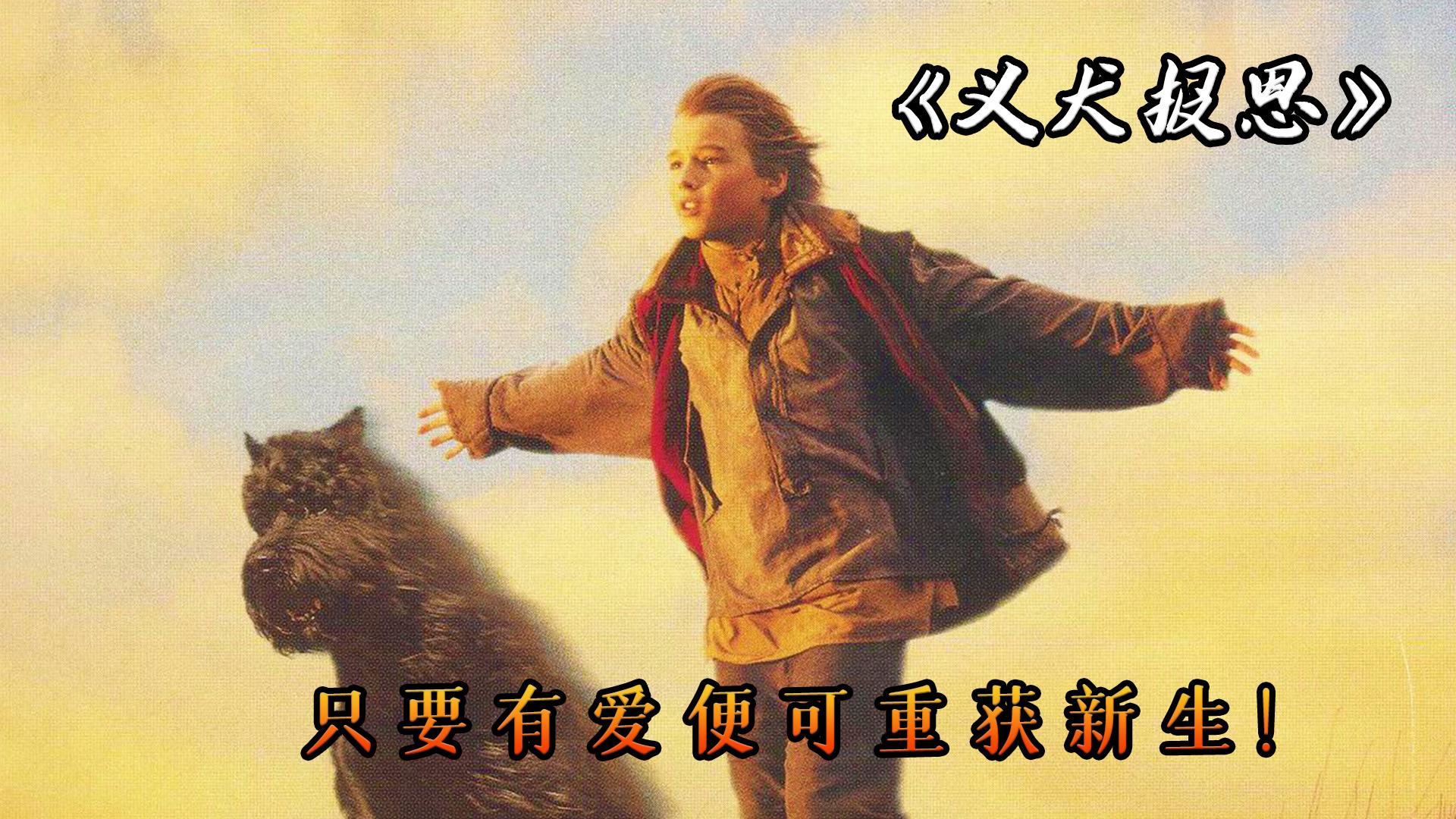 电影义犬报恩的看点是什么