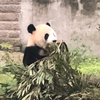 躁动的笔尖