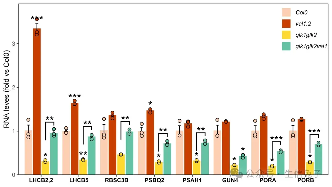 跟着Nature学作图 | 多分组基因表达量散点柱状图绘制，附文章数据链接 - 知乎
