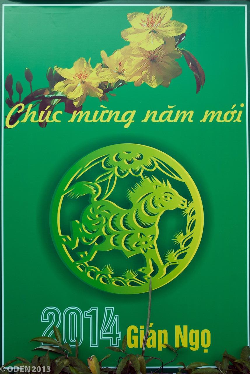 鞭炮声声迎新年，三年级成长记