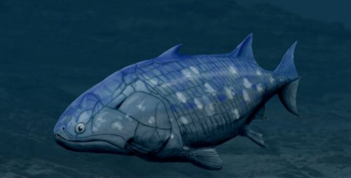 哥布林鲨存活了13亿年为什么没有进化成智慧物种人为什么区区几百万年