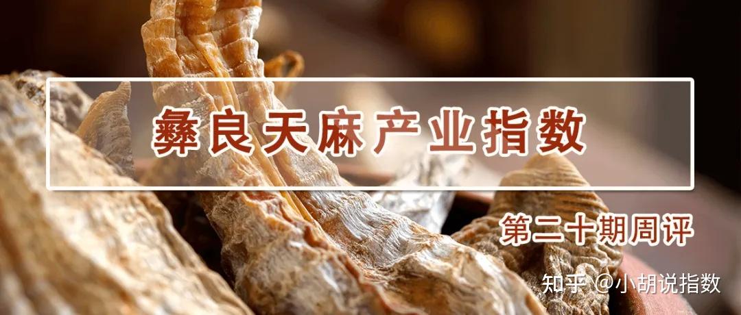 云南新鲜天麻多少钱一斤?
