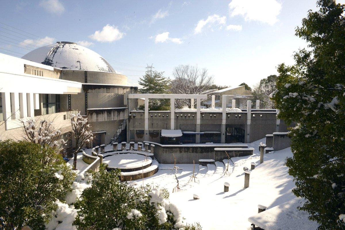 日本有哪些出名的美术大学