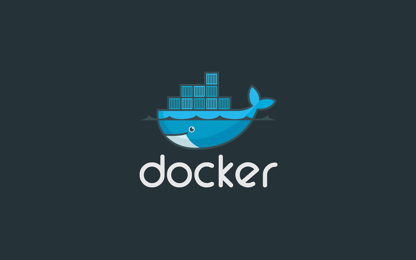 Docker mysql 