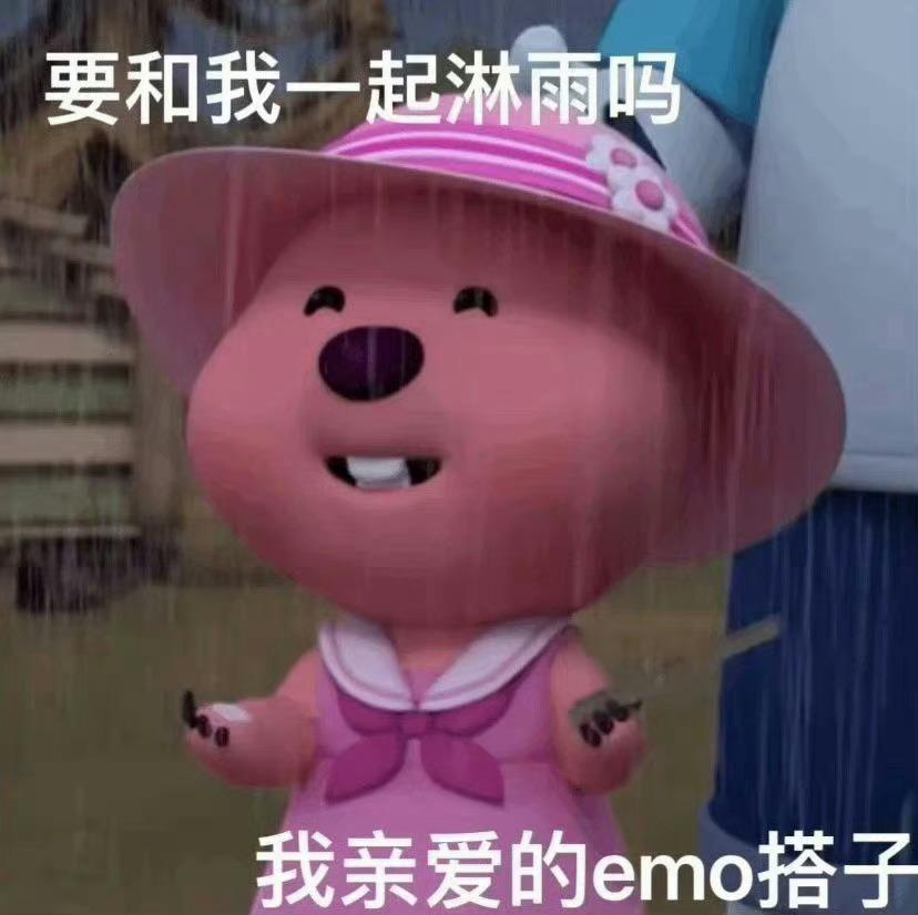 loopy表情包合集 - 知乎