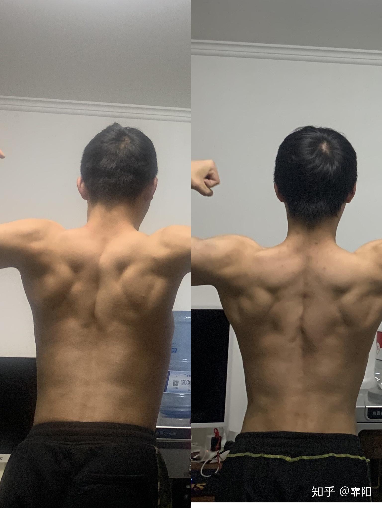 健身小白如何系统练背? - 知乎
