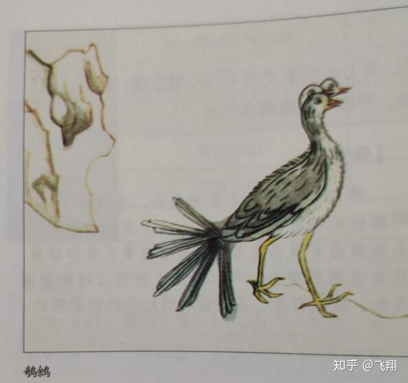 山海经西次三经全怪兽图文解说最终篇(本篇为西次三经怪兽终篇) - 知乎
