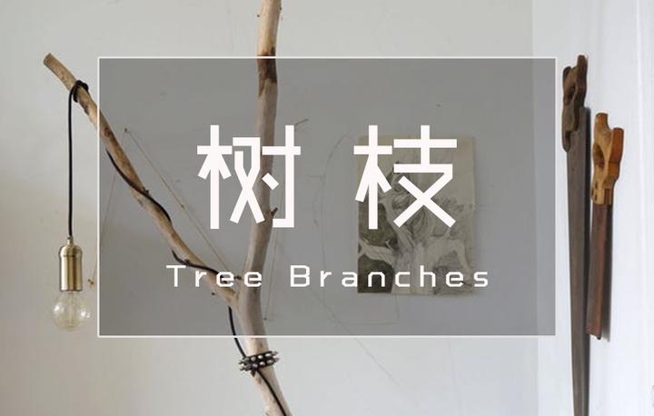 树枝的10种高级玩法,让你家仙得像精灵降临! - 知乎