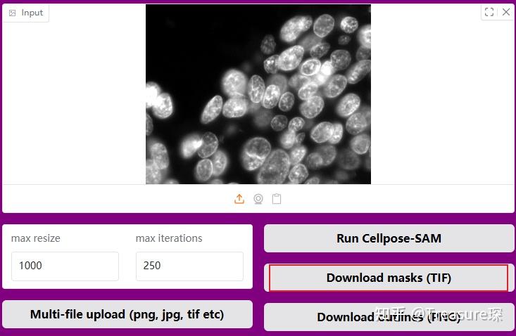 Cellpose-SAM —— 超人类水平的细胞分割 - 知乎