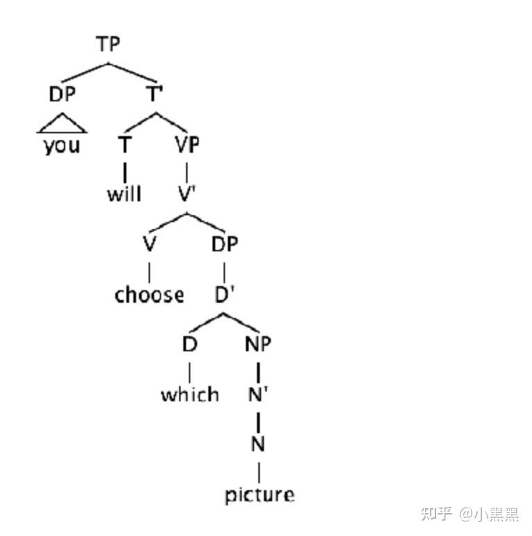 whichpicturewillyouchoose的語言學樹狀圖怎麼畫呀