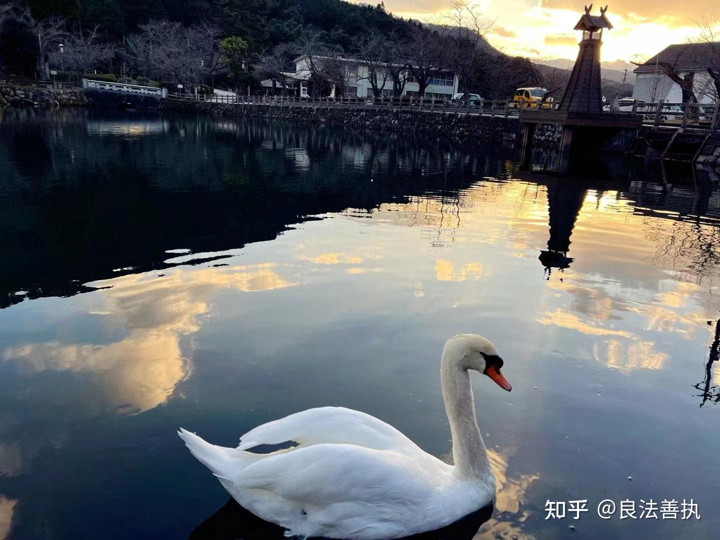 纳入失信名单的期限只有2年吗？ - 知乎