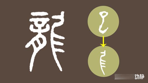 一凡读字丨从望而生畏到和蔼可亲……看“龙”字的七十二变 - 知乎