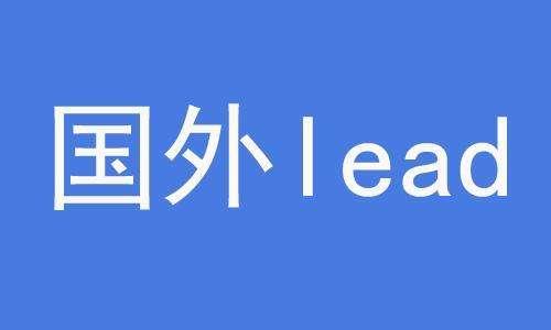 lead什么意思图片