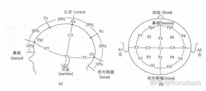 脑电信号基础介绍 知乎 