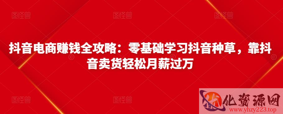 抖音电商赚钱全攻略：零基础学习抖音种草，靠抖音卖货轻松月薪过万插图