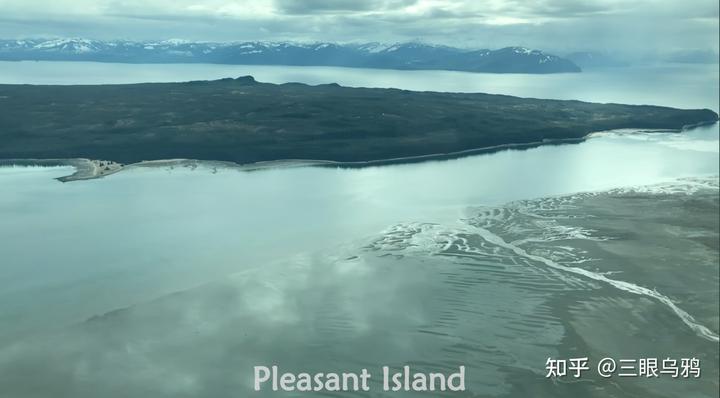 如果将 20 只狼和 500 只鹿放进同一孤岛，最后谁能活下来？