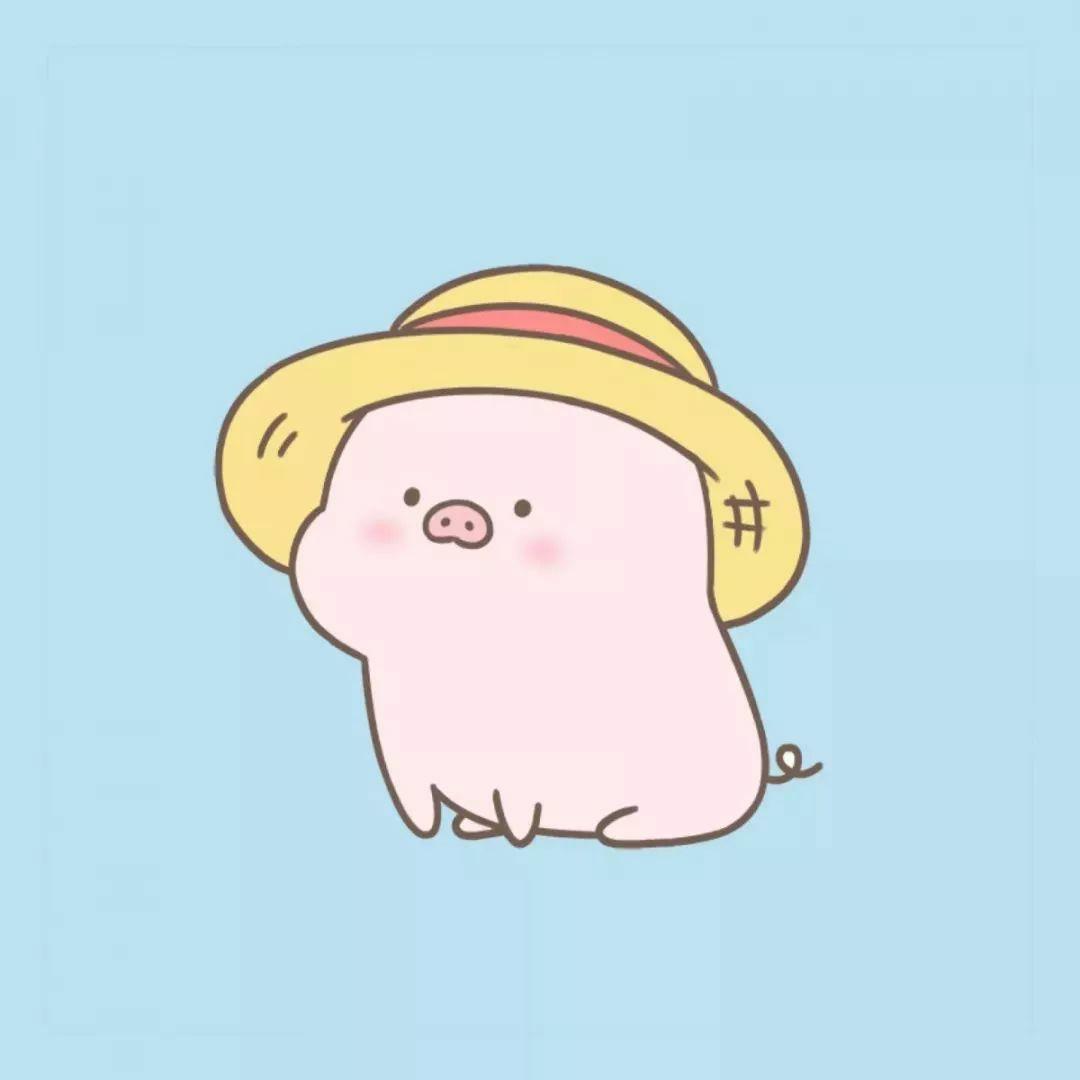 关于猪的头像有哪些? - 知乎
