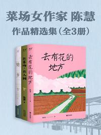 菜场女作家陈慧作品精选集（全 3 册）