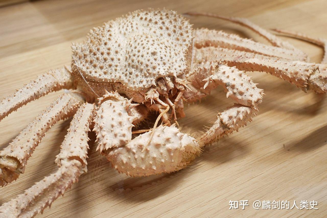 【动物界全系列】异尾下目—石蟹科 - 知乎