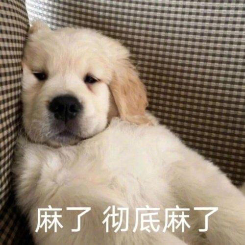 有哪些能把人笑yue的沙雕朋友圈文案? - 知乎