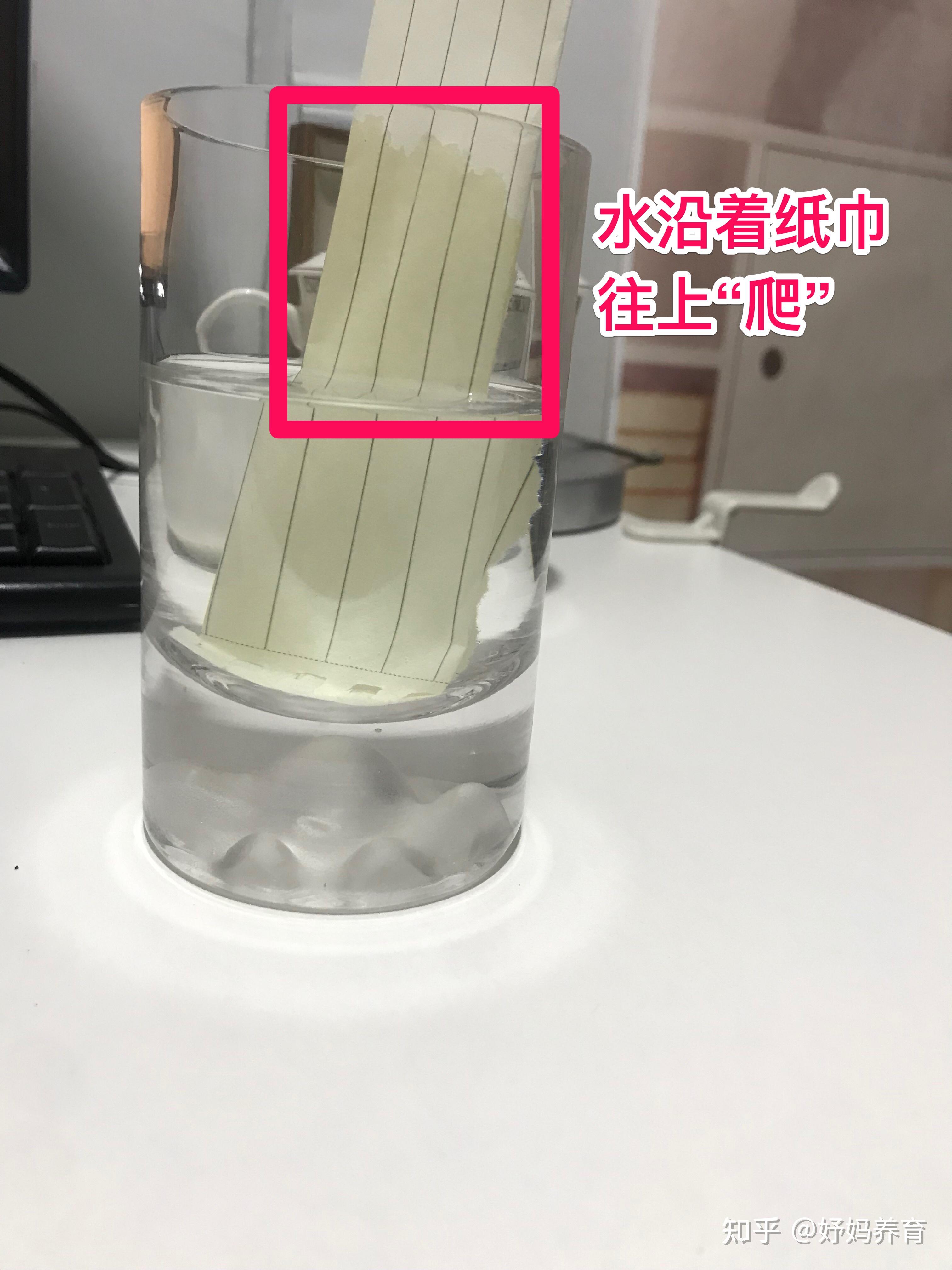 孩子問為什麼紙會吸水該怎麼回答