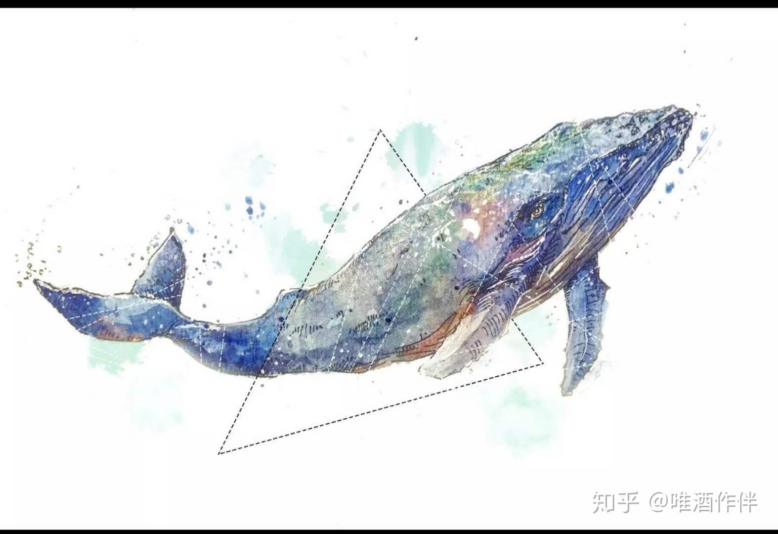 神话中的鲲到底长啥样啊? - 知乎