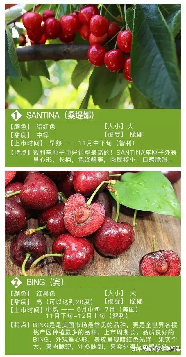 关注问题 67 写回答 登录/注册 水果 樱桃 车厘子 桑缇娜和拉宾斯