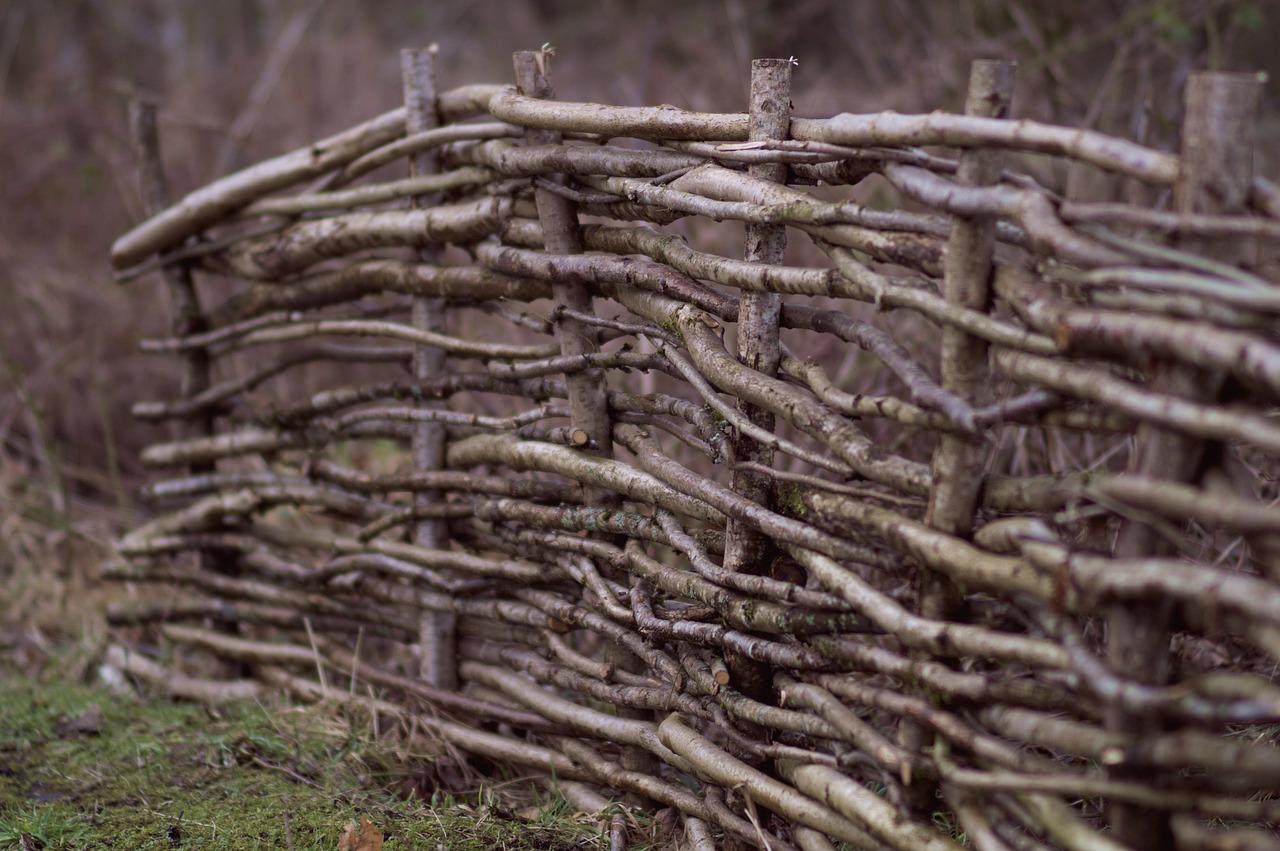 4. 枫香木材加工