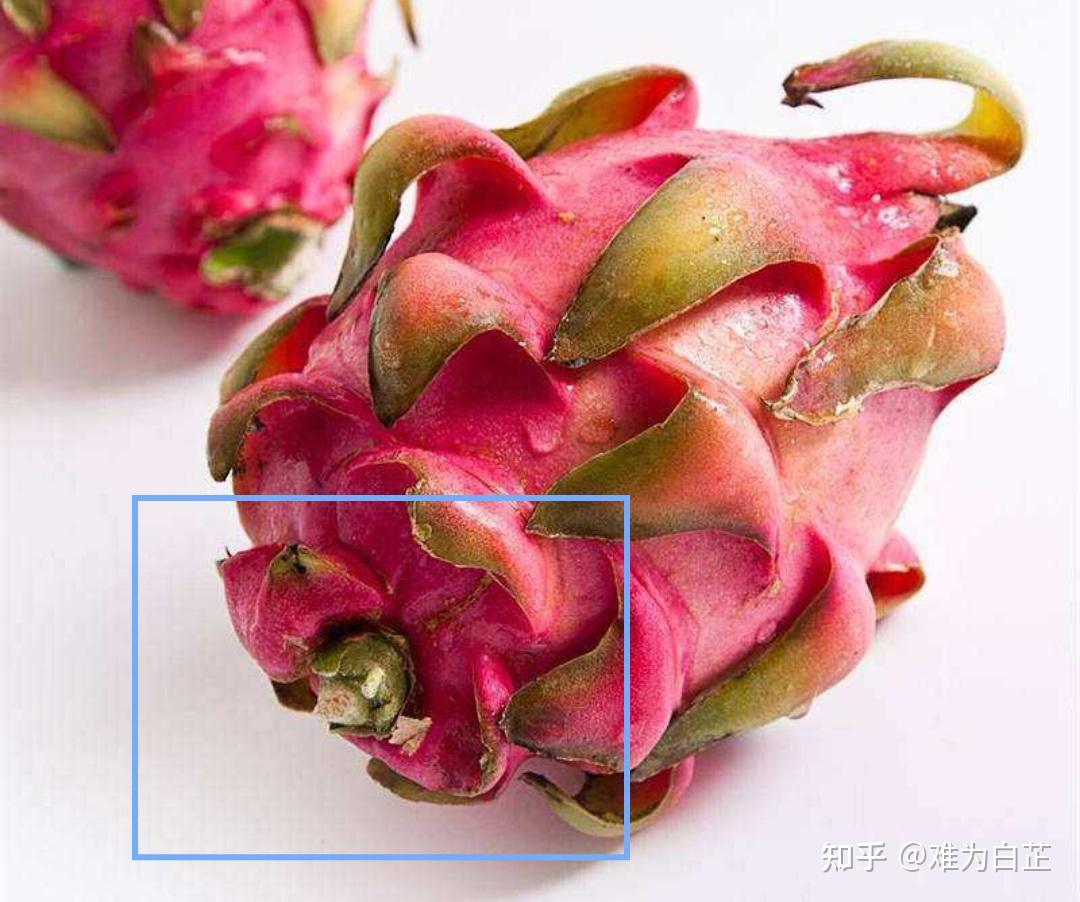 火龙果有什么功效和作用