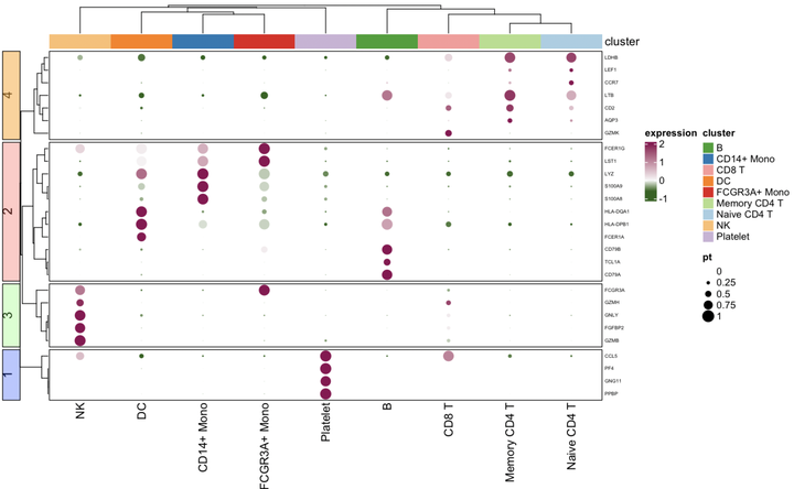 R绘图技巧30| ComplexHeatmap版本的复杂DotPlot(一) - 知乎