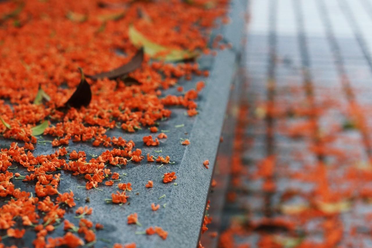 一场秋雨一场梦 如何用镜头表达秋雨的美 5个思路拍好秋雨 知乎