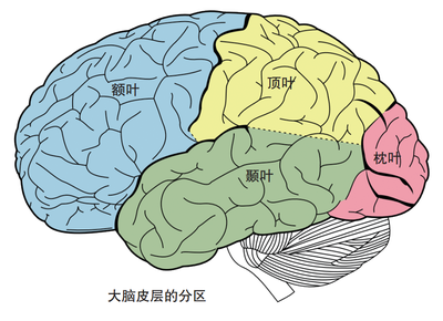 失語症一文讀懂