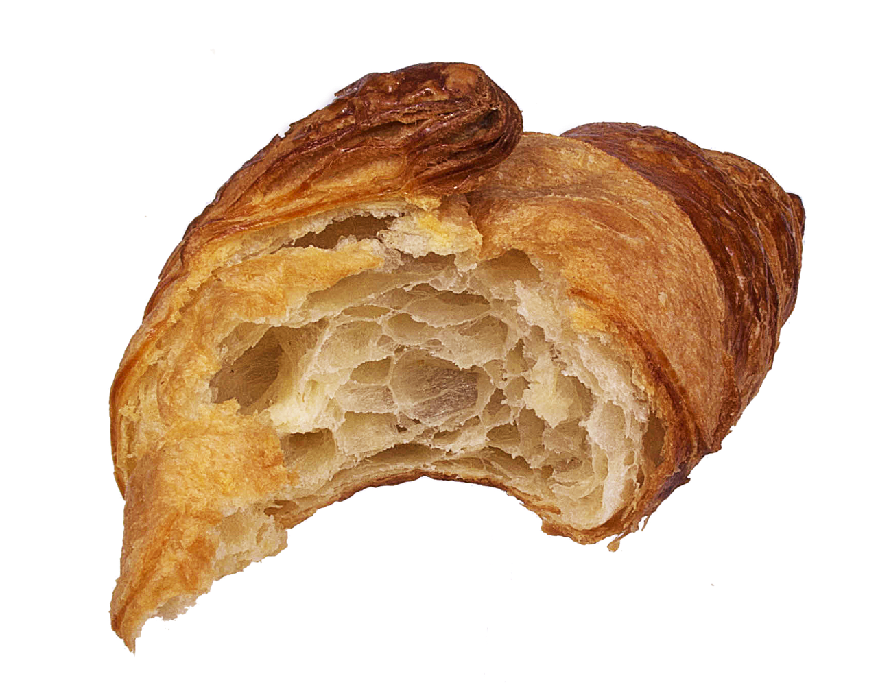 梦见狗咬我什么意思